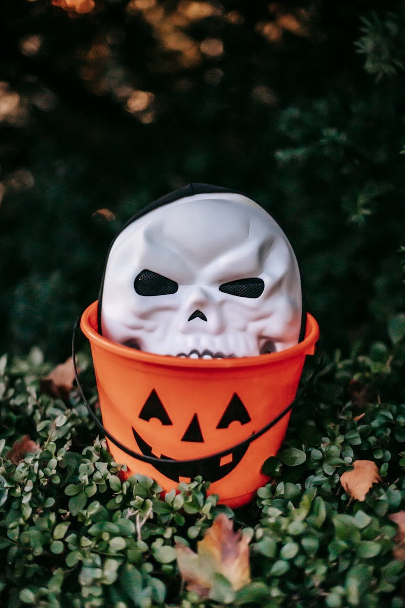 Scary skeleton mask for Halloween placed in plastic bucket painted as jack o lantern located on green leaves on Autumn day